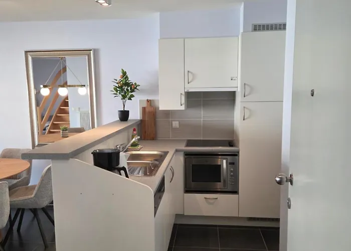 Sea Star Daire Blankenberge