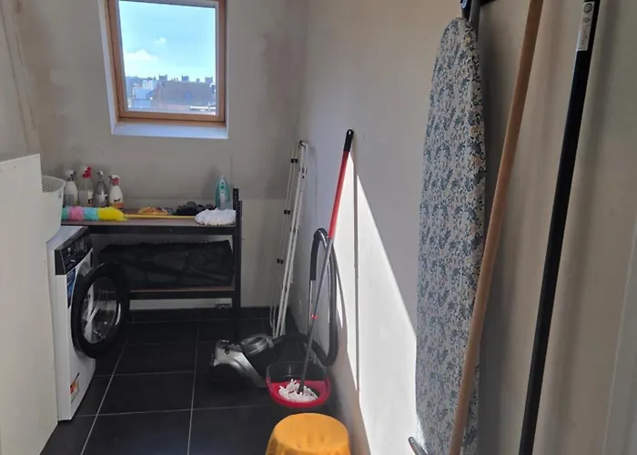 Sea Star Blankenberge